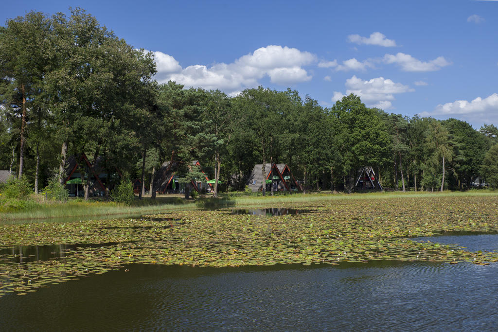 'T Vosseven Vakantiehuizen Stramproy Quarto foto